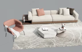 Contemporary Living Room Seating Arrangement