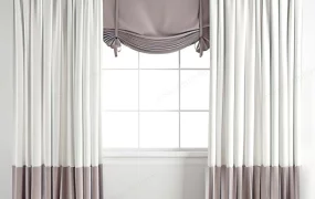 Curtains With Roman Shades