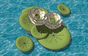 White Water Lily Flower Plant