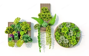 Vertical Succulent Garden