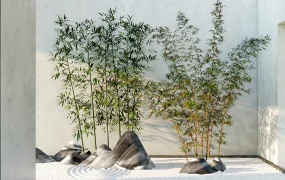 Indoor Bamboo Zen Garden