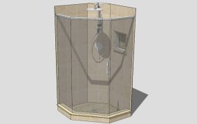 Shower Design Ideas