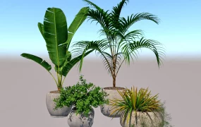 Potted Tropical Botanical Plants Set SketchUp 3D Model