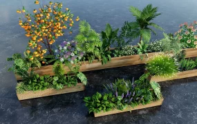 Wood Raised Garden Beds