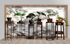 Indoor Bonsai Plants