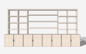 Bookshelf Wall Cabinet