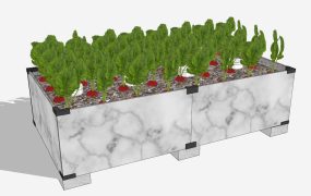 Vegetable Garden Planter Box