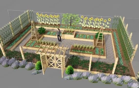 Small Vegetable Garden