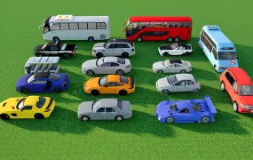 Car And Bus Collection