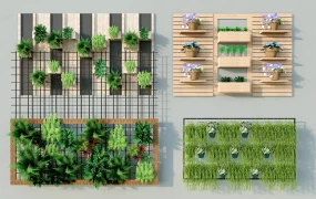 Vertical Garden Plants