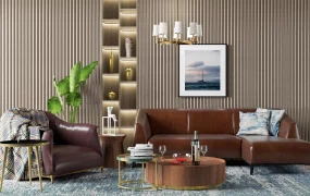 Middle Class Modern Living Room