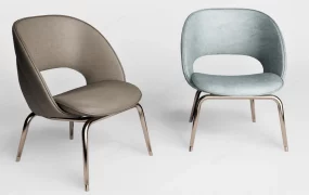 Modern Style Dining Chairs