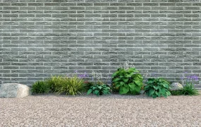 Brick Wall With Ornamental Plants