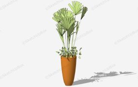 Potted Palm Tree