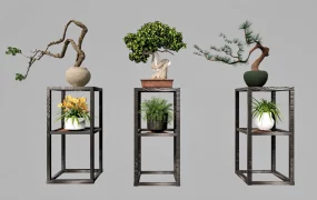 Bonsai & Plant Stands