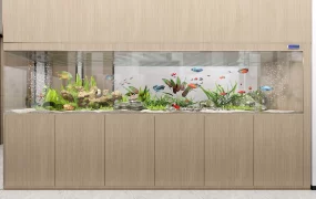 Office Aquarium Design