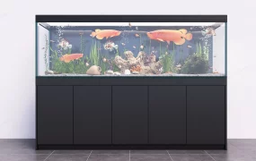 Arowana Fish Tank With Stand