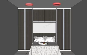 Murphy Bed With Wardrobe