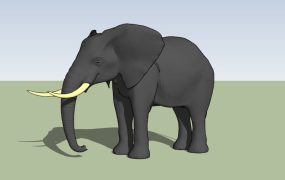 Dark Elephant