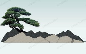 Japanese Rock Garden Idea