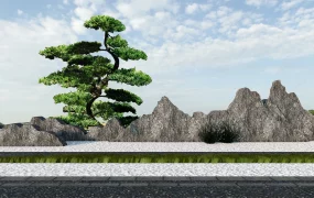 Oriental Style Rock Garden