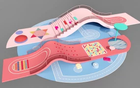 Preschool Playground Equipment