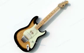 6 String Bass Guitar