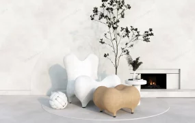 Designer Chair And Ottoman