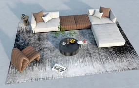 Contemporary Living Room Set With Rug