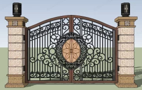 Iron Driveway Gate