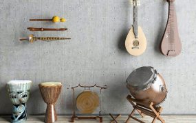 Musical Instruments Collection