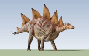 Jurassic Stegosaurus