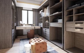 Master Closet Dressing Room