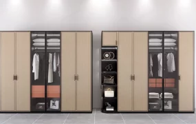 Modern Wardrobe Designs