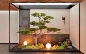 Indoor Zen Garden With Pine Tree