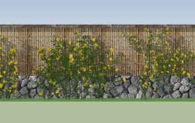 Rose Garden Wall