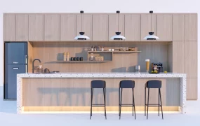 Organic Modern Home Bar Design