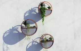 Wall Mounted Succulent Garden Ideas