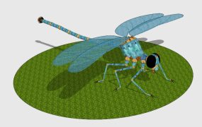 Light Blue Dragonfly