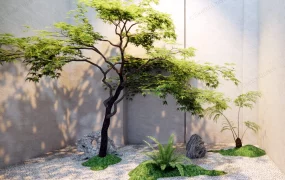 Indoor Zen Garden Idea