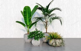Farmhouse Stone Pot Plants