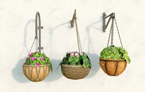Wall Hanging Planters