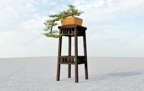Bonsai Tree On Stand