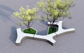Public Bench And Trees