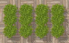 Living Wall Indoor Decoration Idea
