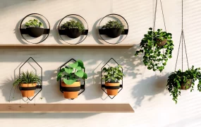 Indoor Wall Planters