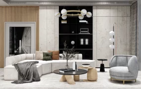 Contemporary Chic Living Room