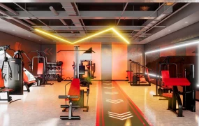 Gym And Fitness Club