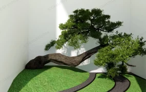 Indoor Small Garden Idea