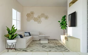 Small Living Room Decorating Idea